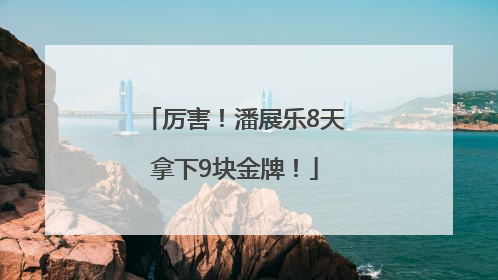 厉害！潘展乐8天拿下9块金牌！