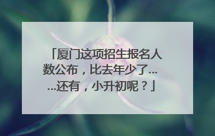 厦门这项招生报名人数公布，比去年少了……还有，小升初呢？