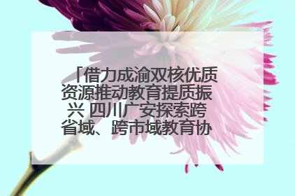 借力成渝双核优质资源推动教育提质振兴 四川广安探索跨省域、跨市域教育协同发展新路径