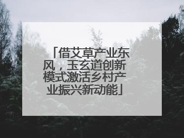 借艾草产业东风，玉玄道创新模式激活乡村产业振兴新动能