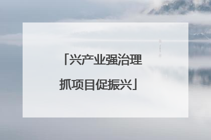 兴产业强治理 抓项目促振兴