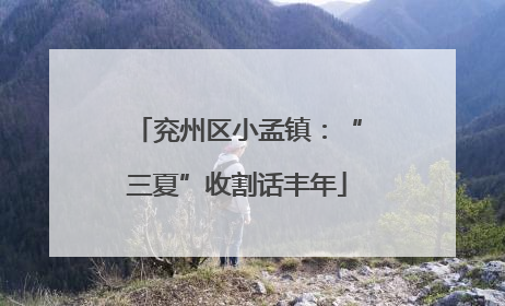 兖州区小孟镇：“三夏”收割话丰年