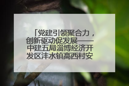 党建引领聚合力，创新驱动促发展——中建五局淄博经济开发区沣水镇高西村安置项目建设纪实