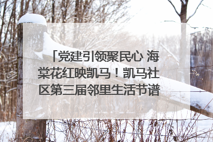 党建引领聚民心 海棠花红映凯马！凯马社区第三届邻里生活节谱写幸福新篇章