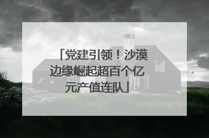 党建引领！沙漠边缘崛起超百个亿元产值连队