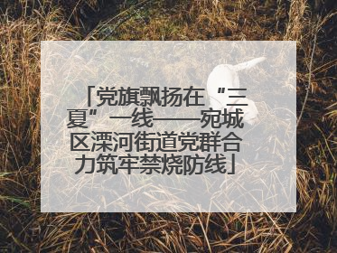 党旗飘扬在“三夏”一线——宛城区溧河街道党群合力筑牢禁烧防线
