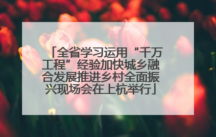 全省学习运用“千万工程”经验加快城乡融合发展推进乡村全面振兴现场会在上杭举行