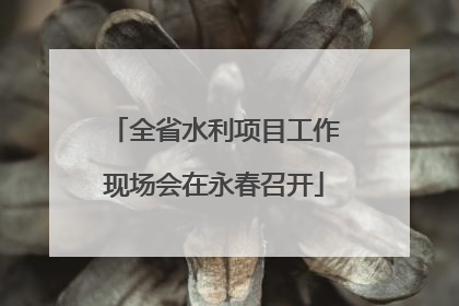 全省水利项目工作现场会在永春召开