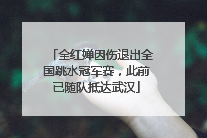 全红婵因伤退出全国跳水冠军赛，此前已随队抵达武汉