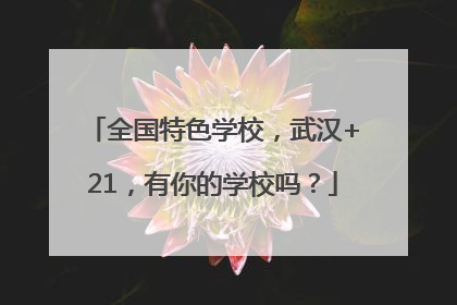 全国特色学校，武汉+21，有你的学校吗？