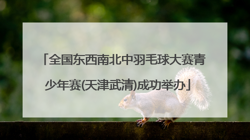 全国东西南北中羽毛球大赛青少年赛(天津武清)成功举办