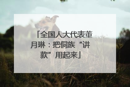 全国人大代表董月琳：把侗族“讲款”用起来