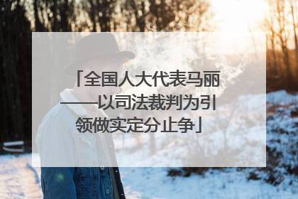 全国人大代表马丽——以司法裁判为引领做实定分止争