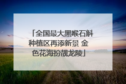 全国最大黑喉石斛种植区再添新景 金色花海扮靓龙陵