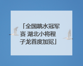全国跳水冠军赛 湖北小将程子龙首度加冕