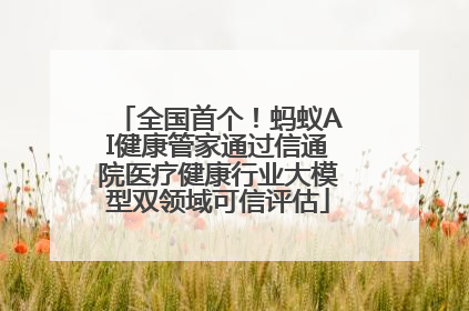 全国首个！蚂蚁AI健康管家通过信通院医疗健康行业大模型双领域可信评估