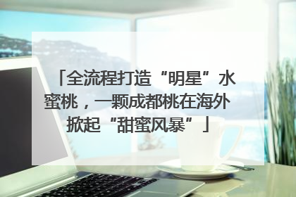 全流程打造“明星”水蜜桃，一颗成都桃在海外掀起“甜蜜风暴”