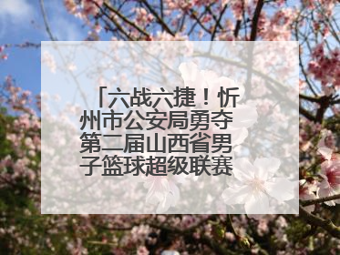 六战六捷！忻州市公安局勇夺第二届山西省男子篮球超级联赛忻州赛区市直职工组比赛冠军