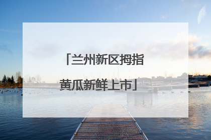 兰州新区拇指黄瓜新鲜上市