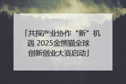 共探产业协作“新”机遇 2025金熊猫全球创新创业大赛启动