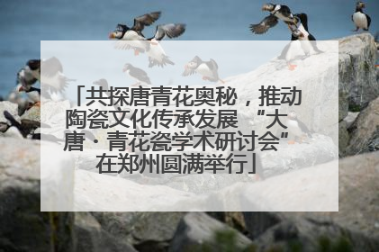 共探唐青花奥秘，推动陶瓷文化传承发展 “大唐・青花瓷学术研讨会”在郑州圆满举行