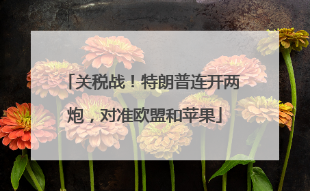 关税战！特朗普连开两炮，对准欧盟和苹果