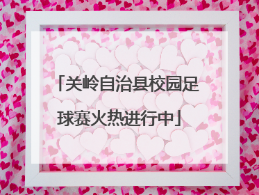 关岭自治县校园足球赛火热进行中