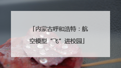 内蒙古呼和浩特：航空模型“飞”进校园