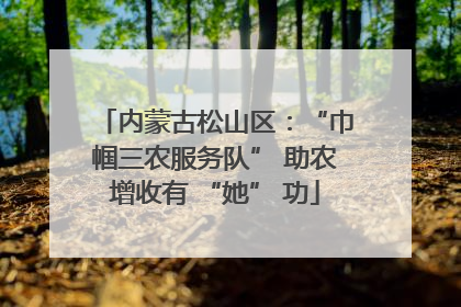 内蒙古松山区：“巾帼三农服务队” 助农增收有 “她” 功