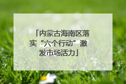 内蒙古海南区落实“六个行动”激发市场活力