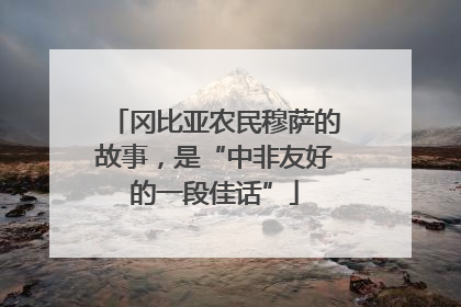 冈比亚农民穆萨的故事，是“中非友好的一段佳话”