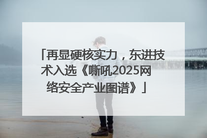 再显硬核实力，东进技术入选《嘶吼2025网络安全产业图谱》