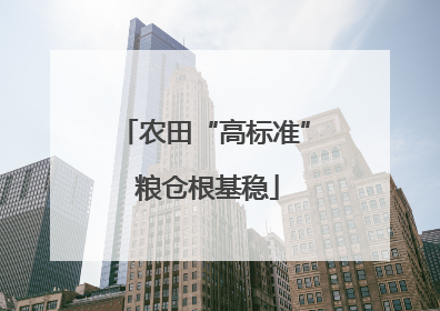 农田“高标准” 粮仓根基稳