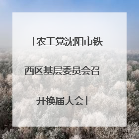 农工党沈阳市铁西区基层委员会召开换届大会