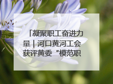 凝聚职工奋进力量｜河口黄河工会获评黄委“模范职工之家”侧记