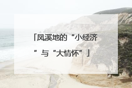 凤溪地的“小经济”与“大情怀”