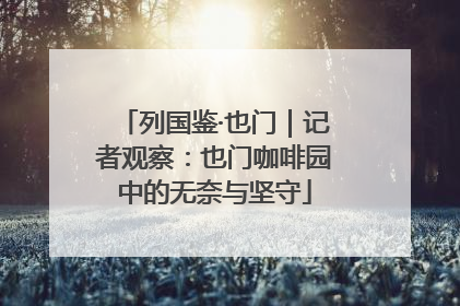 列国鉴·也门｜记者观察：也门咖啡园中的无奈与坚守
