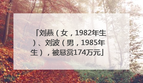 刘燕（女，1982年生）、刘波（男，1985年生），被悬赏174万元