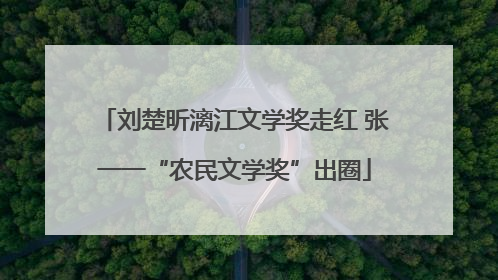 刘楚昕漓江文学奖走红 张一一“农民文学奖”出圈