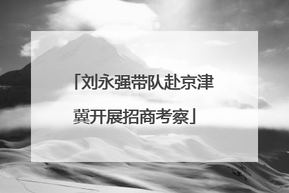 刘永强带队赴京津冀开展招商考察
