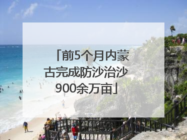 前5个月内蒙古完成防沙治沙900余万亩