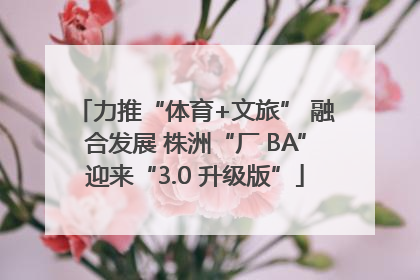 力推“体育+文旅” 融合发展 株洲“厂 BA”迎来“3.0 升级版”