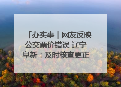 办实事｜网友反映公交票价错误 辽宁阜新：及时核查更正 加强实时巡检