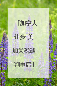 加拿大让步 美加关税谈判重启