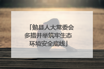 勉县人大常委会多措并举筑牢生态环境安全底线