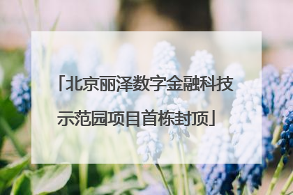 北京丽泽数字金融科技示范园项目首栋封顶