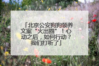 北京公安狗狗领养文案“火出圈”！心动之后，如何行动？我们打听了