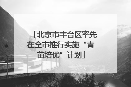 北京市丰台区率先在全市推行实施“青苗培优”计划