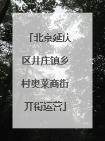 北京延庆区井庄镇乡村奥莱商街开街运营