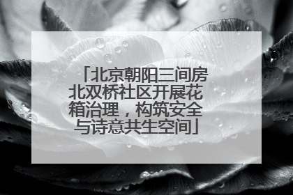 北京朝阳三间房北双桥社区开展花箱治理，构筑安全与诗意共生空间